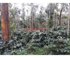 200 acres coffee estate for sale near Sakleshpur