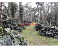 200 acres coffee estate for sale near Sakleshpur