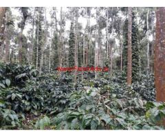 200 acres coffee estate for sale near Sakleshpur
