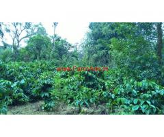 100 Acres well maintained Beautiful coffee estate in Madikeri - Coorg