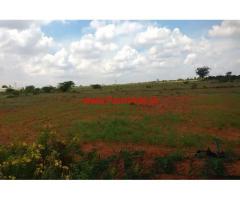 20 acres agriculture land for sale at Kodigenahalli, Madhugiri Taluk.