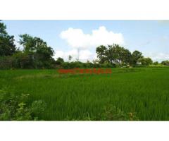 3 Acres Paddy Agriculture lands for sale at Mudigonda , Khammam Rural