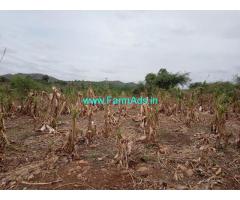 3 Acres Banana Farm for sale at Kadavakalu, Tadipatri