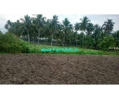 5.66 Acres Agriculture Land for sale in Thoppampatti