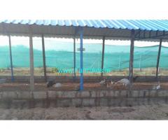 2 Acres Agriculture Land for sale near Padamathur
