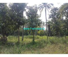 30 Acres Farm Land for sale near Hassan
