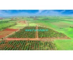 120 Acres Farm land for sale Zahirabad,1km to Zahirabad Chincholi highway
