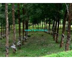 3 Acres Rubber Plantation for sale in Karuvarakundu