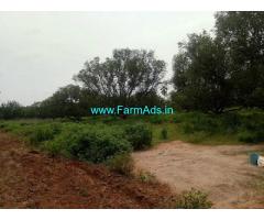 3 Acres Mango Farm for Sale near Ravicherla