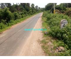 3 Acres Mango Farm for Sale near Ravicherla