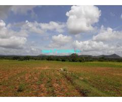 12 Acres Agriculture Land for Sale near Begur,Gundlupet