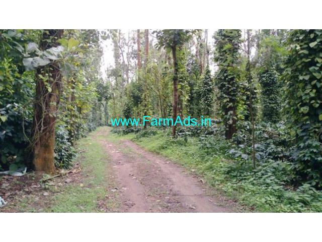 40 Acres Coffee Estate for sale in Arkalgud taluk, Shanivarasante road ...