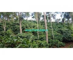 12 Acres Coffee Estate for Sale in Sakleshpur