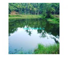 12 Acres Coffee Estate for Sale in Sakleshpur