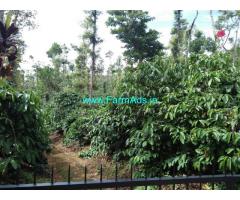 17 acre robusta coffee estate plantation for sale in chikmagalur