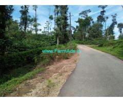 17 acre robusta coffee estate plantation for sale in chikmagalur