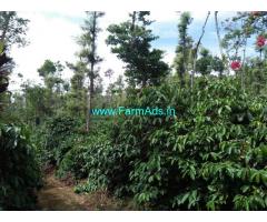 17 acre robusta coffee estate plantation for sale in chikmagalur