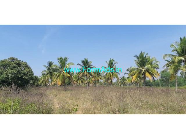 8 Acres 17 Gunta Mango Coconut Farm for Sale Maddur Kunigal highway 8 Acres 17 Gunta Mango Coconut Farm for Sale Maddur Kunigal highway