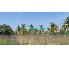 8 Acres 17 Gunta Mango Coconut Farm for Sale Maddur Kunigal highway