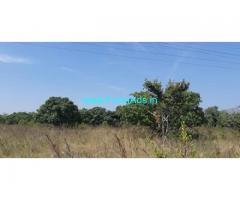 8 Acres 17 Gunta Mango Coconut Farm for Sale Maddur Kunigal highway 8 Acres 17 Gunta Mango Coconut Farm for Sale Maddur Kunigal highway