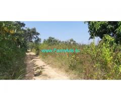8 Acres 17 Gunta Mango Coconut Farm for Sale Maddur Kunigal highway 8 Acres 17 Gunta Mango Coconut Farm for Sale Maddur Kunigal highway