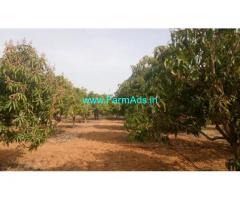 7 acres mango groove for sale 30 kms from Madanapalli town