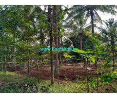 12.25 acres farm land for sale at basavapatna, arakalagud taluk, hassan