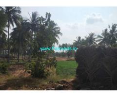 1 Acre Farm Land with Farm House for sale in Singarapettai-Thirupatur Road