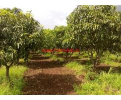 22 Acres Agriculture Land for sale at Zaheerabad Near Hyderabad