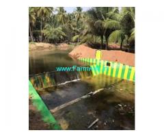 3.5 Acres Coconut FarmLand for sale Paraiyur,Udumalpet Dharapuram Mainroad