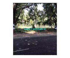 3.5 Acres Coconut FarmLand for sale Paraiyur,Udumalpet Dharapuram Mainroad