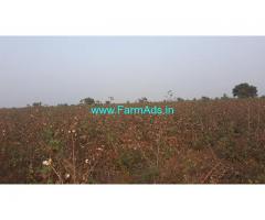 18 Acres Agriculture Land for Sale near Pasumarru