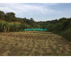 13 Acres Agriculture Land for Sale in Jamboti