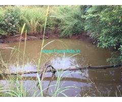 13 Acres Agriculture Land for Sale in Jamboti
