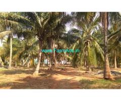 5.50 Acres Coconut Farm Land for sale in Periyapatti