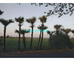 15 Acres Agriculture Land for Sale near Pedana