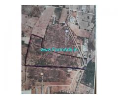 19 Acres Mango Farm land for Sale near Amangal, Bangalore Highway