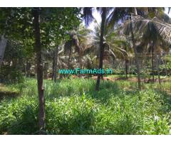 7 Acres Coconut Farm for Sale near Pollachi