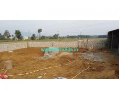 Dairy Farm with Land for Rent near Peda Narava