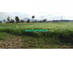 Dairy Farm with Land for Rent near Peda Narava