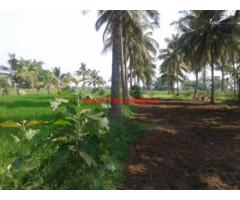 4 Acres Farm land with Farm House for sale in Mysore