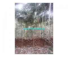 6.67 Acres Agriculture Land for Sale at Valpoi, North Goa