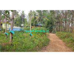 30 Cents Farm Plot for Sale in Kudavoor,Kilimanoor kallambalam road