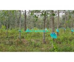 30 Cents Farm Plot for Sale in Kudavoor,Kilimanoor kallambalam road