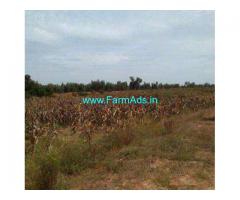 2.5 Acre Agriculture Farm land Sale in Thally,48km to Silk Board