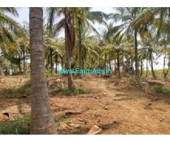 3 Acres Coconut Farm land for Sale near Belur,Belur Bus Stand