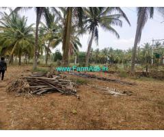 3 Acres Coconut Farm land for Sale near Belur,Belur Bus Stand
