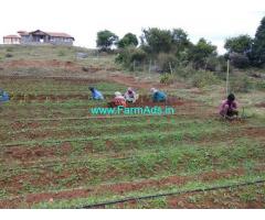 22 Cents Farm Plot Sale at Grass Roots Organic Farm