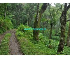 7 Acres Cardamom Estate for sale near Meppadi,Lantren Stay Resort