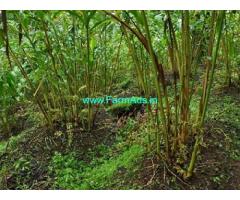 7 Acres Cardamom Estate for sale near Meppadi,Lantren Stay Resort